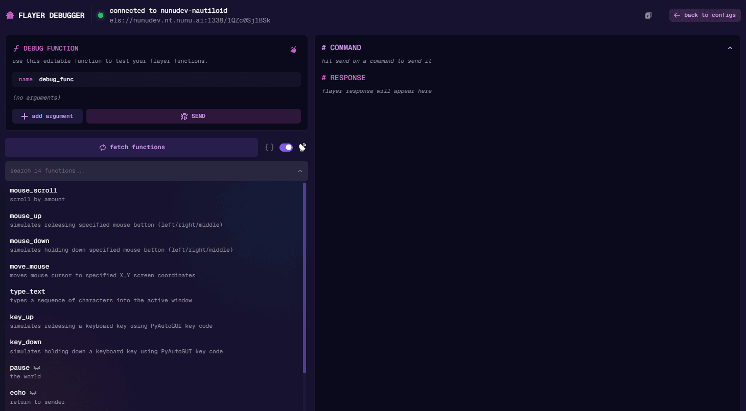 Flayer Debugger Overview