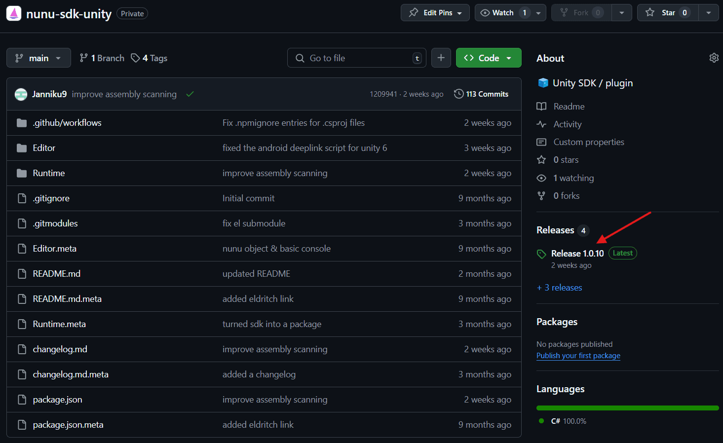 Github Release